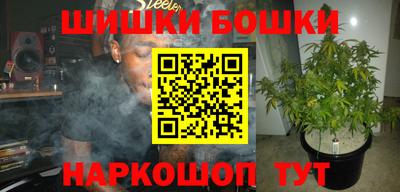 крисы Кунгур