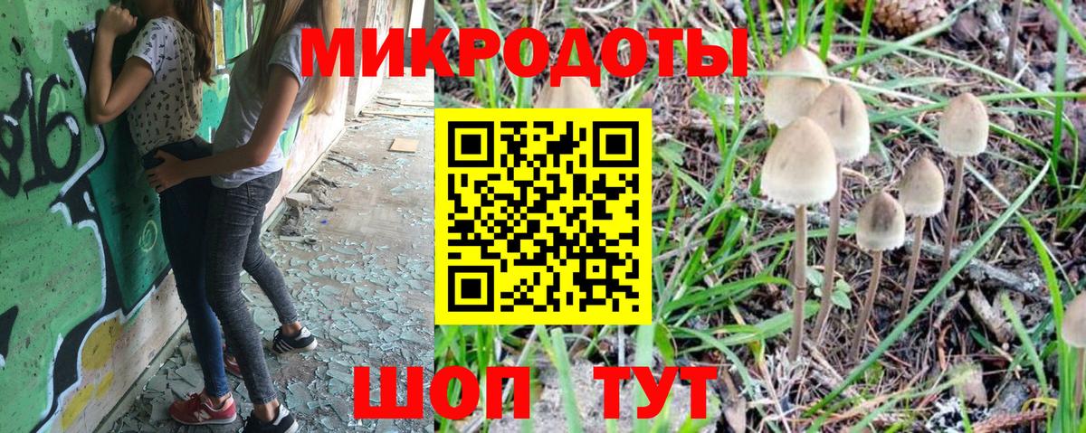 Галлюциногенные грибы Psilocybine cubensis  Вход с VPN  Геленджик 