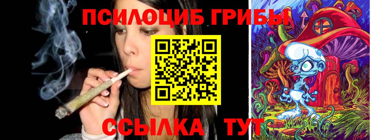 Галлюциногенные грибы MAGIC MUSHROOMS Геленджик